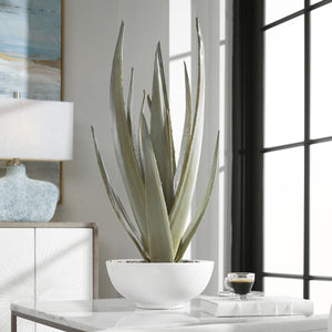 Evarado Aloe Planter - decor accents and accessories for every room | Image 5 | InSTYLE Home & Rugs