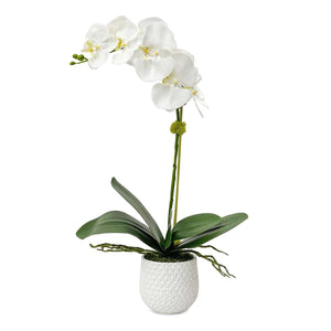 Cami Orchid - decor accents and accessories for every room | Image 2 | InSTYLE Home & Rugs