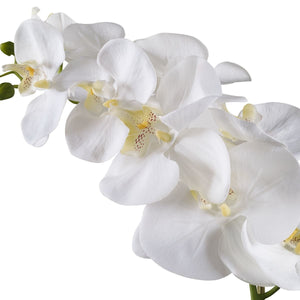 Cami Orchid - decor accents and accessories for every room | Image 4 | InSTYLE Home & Rugs
