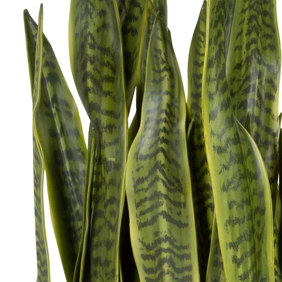 Fasita Planter, 2 cartons - modern accessories for a personalized living space | Image 4 | InSTYLE Home & Rugs