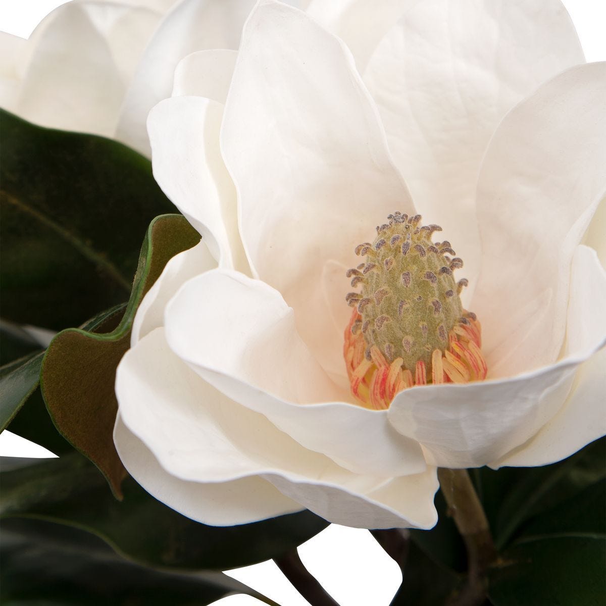 Middleton Magnolia Centerpiece - modern accessories for a personalized living space | Image 6 | InSTYLE Home & Rugs