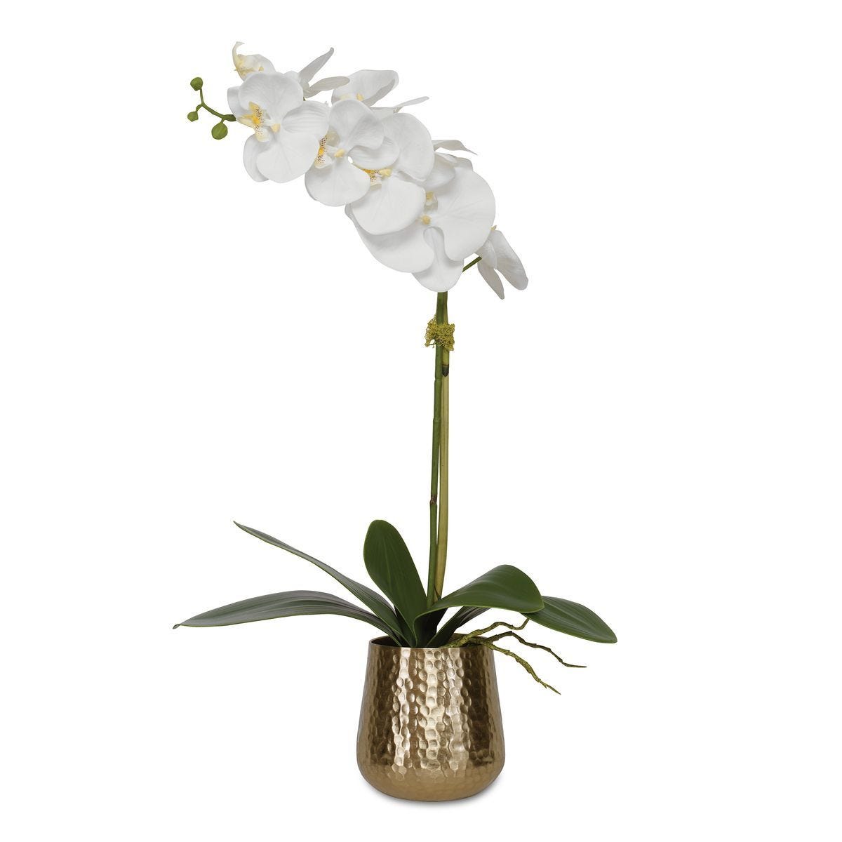 Cami Orchid, Brass - modern accessories for a personalized living space | Image 2 | InSTYLE Home & Rugs