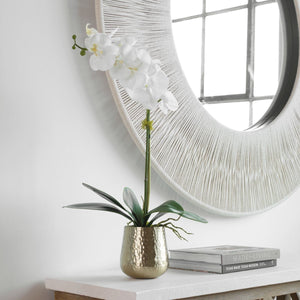 Cami Orchid, Brass - modern accessories for a personalized living space | Image 7 | InSTYLE Home & Rugs