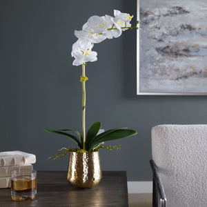Cami Orchid, Brass - modern accessories for a personalized living space | Image 1 | InSTYLE Home & Rugs
