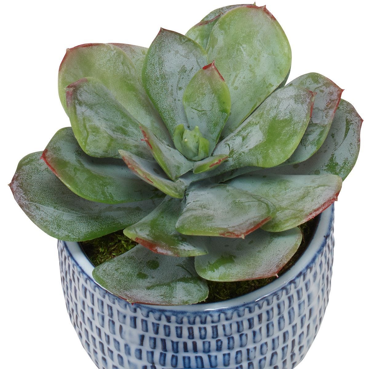 Puebla Greenery, S/3 - decor accents and accessories for every room | Image 3 | InSTYLE Home & Rugs