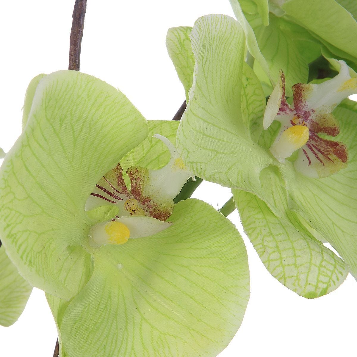 Valdive Orchid - modern accessories for a personalized living space | Image 4 | InSTYLE Home & Rugs