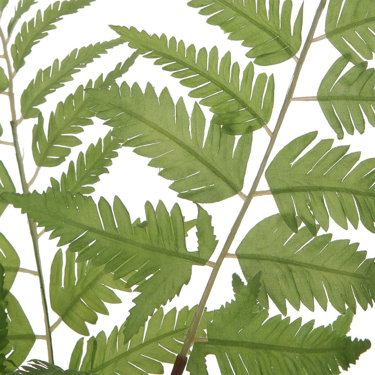 Country Ferns, S/2 - decor accents and accessories for every room | Image 3 | InSTYLE Home & Rugs