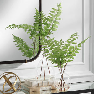Country Ferns, S/2 - decor accents and accessories for every room | Image 1 | InSTYLE Home & Rugs
