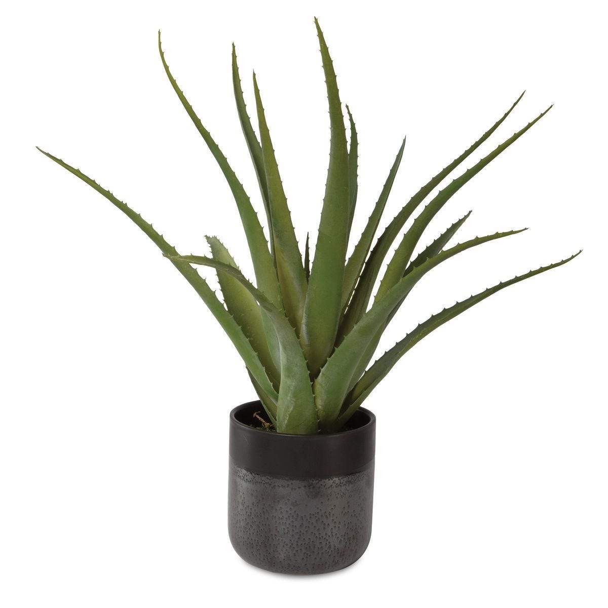Tucson Aloe Planter - decor accents and accessories for every room | Image 2 | InSTYLE Home & Rugs