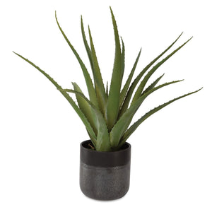 Tucson Aloe Planter - decor accents and accessories for every room | Image 2 | InSTYLE Home & Rugs