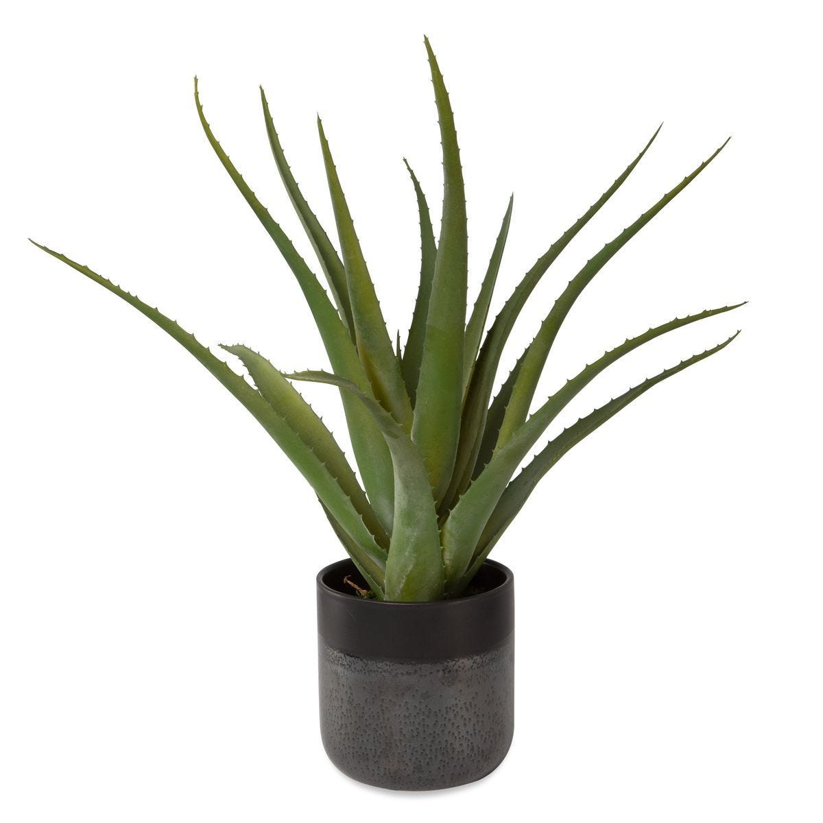 Tucson Aloe Planter - decor accents and accessories for every room | Image 3 | InSTYLE Home & Rugs
