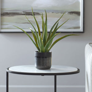 Tucson Aloe Planter - decor accents and accessories for every room | Image 1 | InSTYLE Home & Rugs