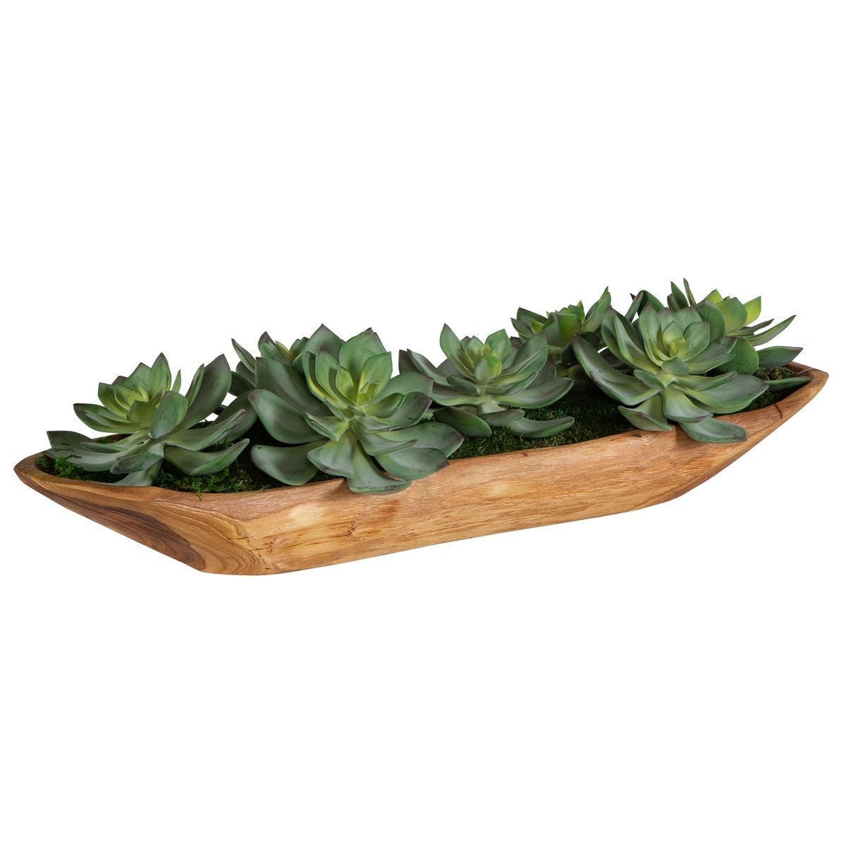 Yuma Succulent Centerpiece - modern accessories for a personalized living space | Image 3 | InSTYLE Home & Rugs