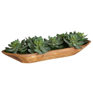 Yuma Succulent Centerpiece - modern accessories for a personalized living space | Image 3 | InSTYLE Home & Rugs