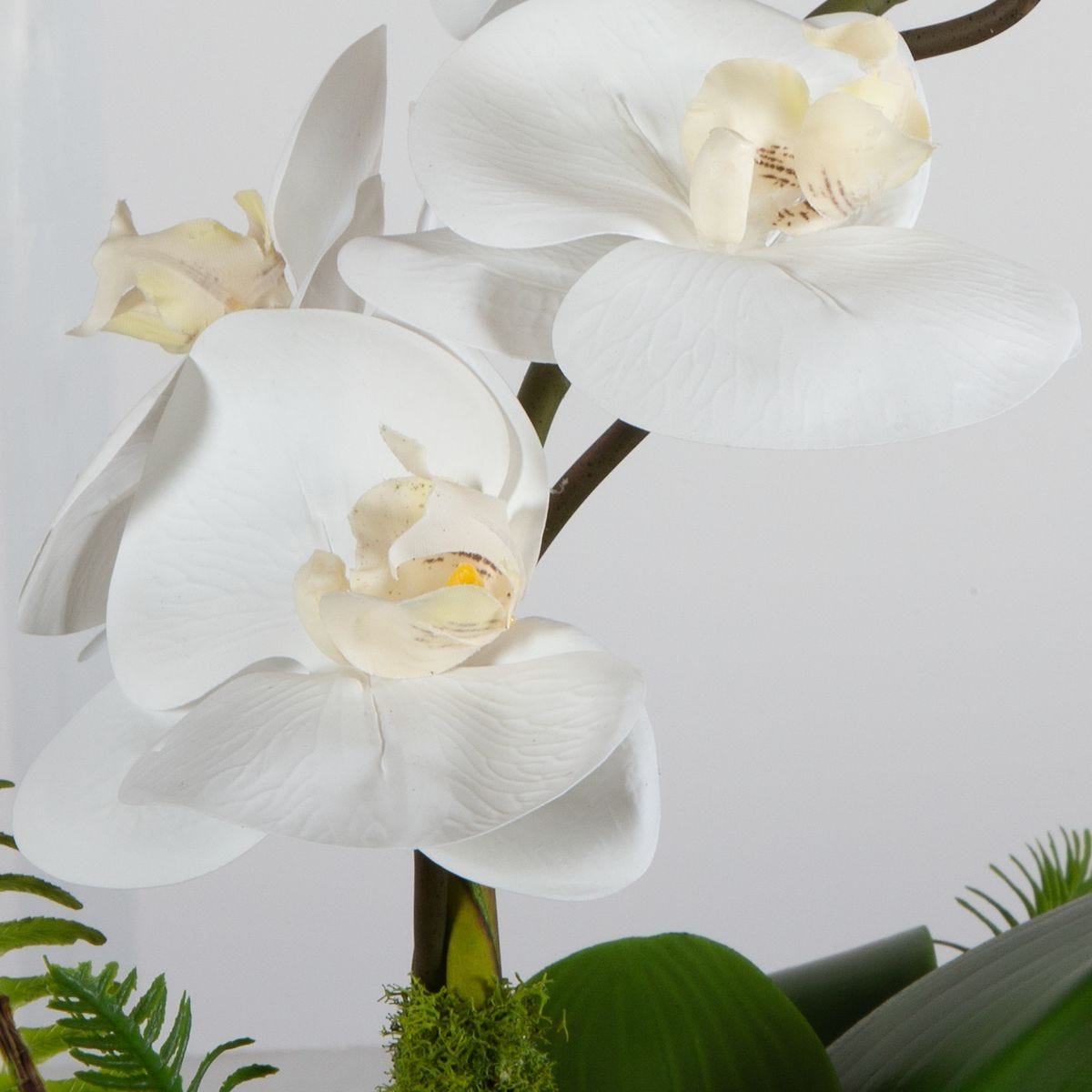 Transcend Orchid - stylish home accessories to complete your decor | Image 5 | InSTYLE Home & Rugs