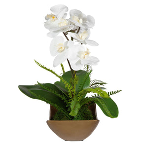 Transcend Orchid - stylish home accessories to complete your decor | Image 4 | InSTYLE Home & Rugs