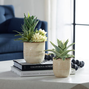 Seaside Succulents, S/2 - modern accessories for a personalized living space | Image 1 | InSTYLE Home & Rugs