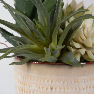 Seaside Succulents, S/2 - modern accessories for a personalized living space | Image 5 | InSTYLE Home & Rugs