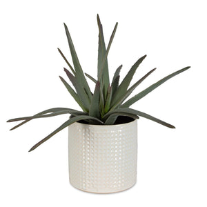 Taos Aloe Centerpiece - decor accents and accessories for every room | Image 2 | InSTYLE Home & Rugs