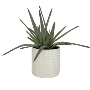 Taos Aloe Centerpiece - decor accents and accessories for every room | Image 3 | InSTYLE Home & Rugs