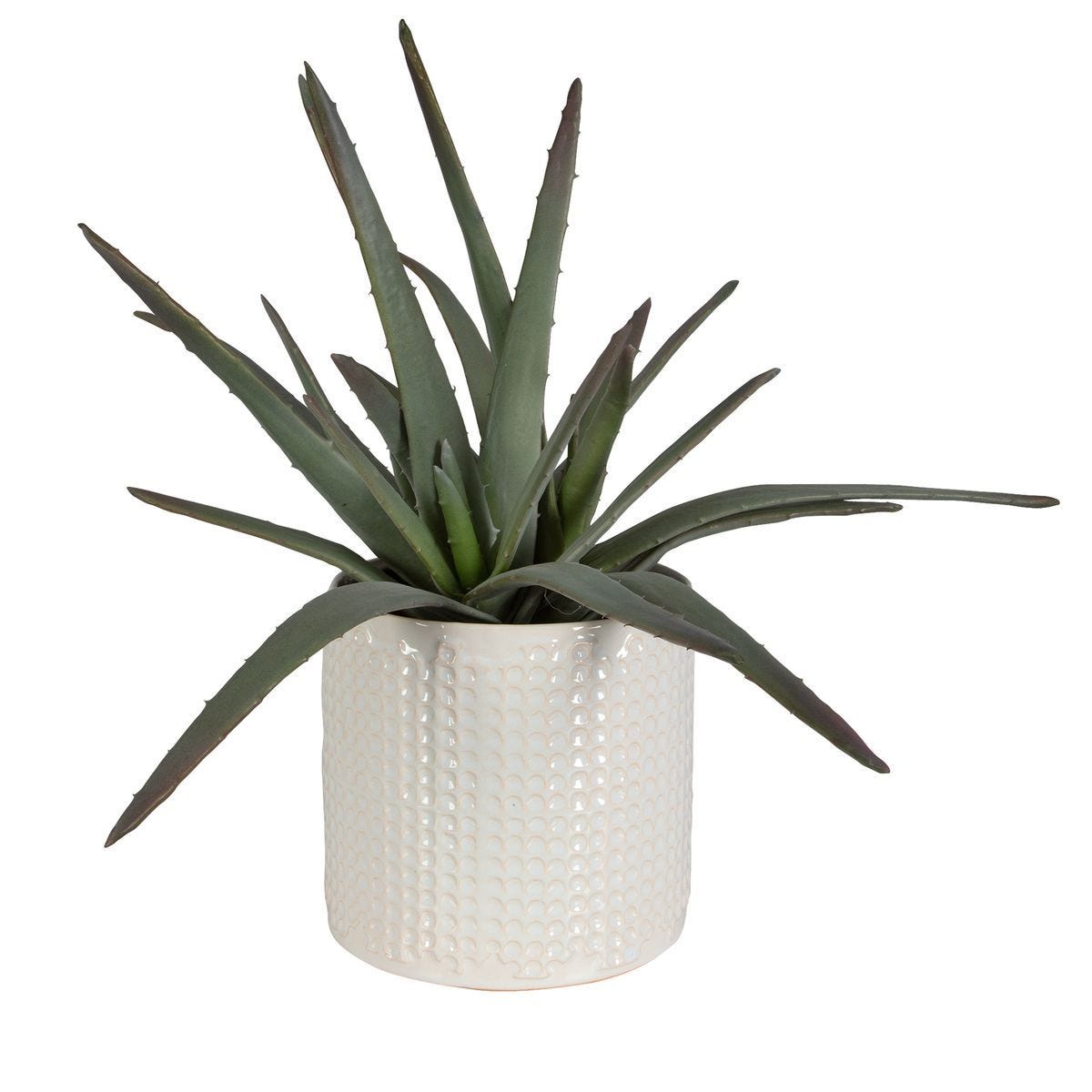Taos Aloe Centerpiece - decor accents and accessories for every room | Image 4 | InSTYLE Home & Rugs