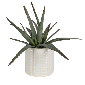 Taos Aloe Centerpiece - decor accents and accessories for every room | Image 4 | InSTYLE Home & Rugs