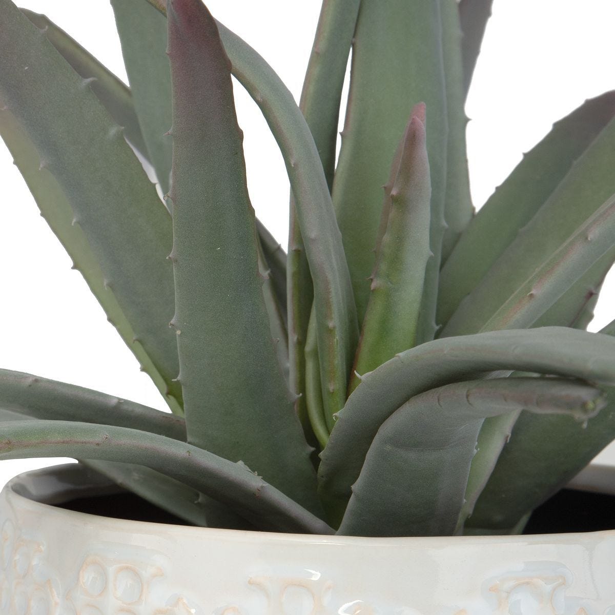 Taos Aloe Centerpiece - decor accents and accessories for every room | Image 6 | InSTYLE Home & Rugs