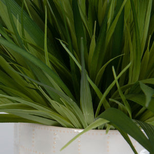 Edgewood Greenery, S/2 - stylish home accessories to complete your decor | Image 5 | InSTYLE Home & Rugs