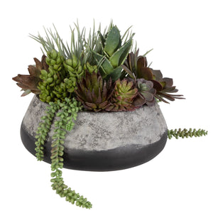 Gobi Succulent Centerpiece - modern accessories for a personalized living space | Image 3 | InSTYLE Home & Rugs