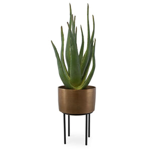 Arabia Aloe Planter, 2 CARTONS - decor accents and accessories for every room | Image 2 | InSTYLE Home & Rugs
