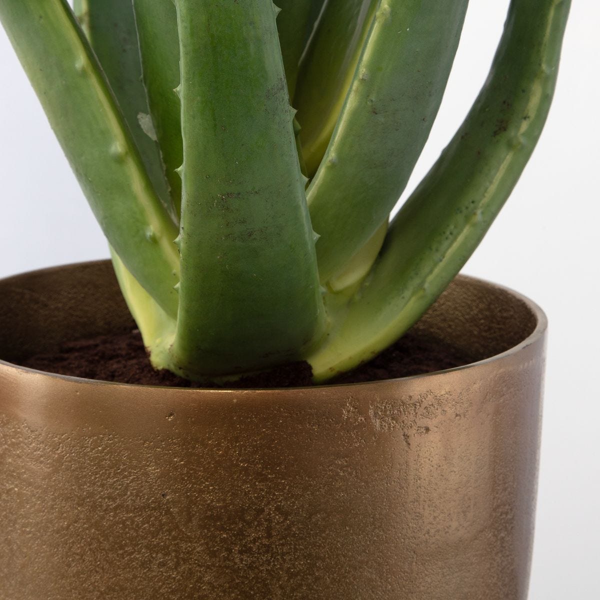 Arabia Aloe Planter, 2 CARTONS - decor accents and accessories for every room | Image 4 | InSTYLE Home & Rugs