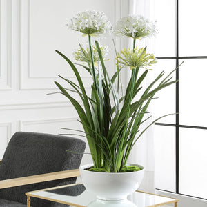 Purity Agapanthus Centerpiece - stylish home accessories to complete your decor | Image 1 | InSTYLE Home & Rugs