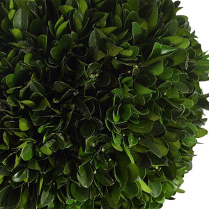 Preserved Boxwood Triple Topiary - modern accessories for a personalized living space | Image 3 | InSTYLE Home & Rugs