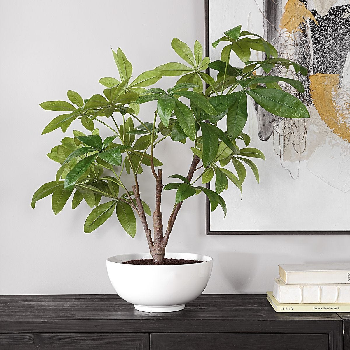 Pachira Money Tree - stylish home accessories to complete your decor | Image 3 | InSTYLE Home & Rugs