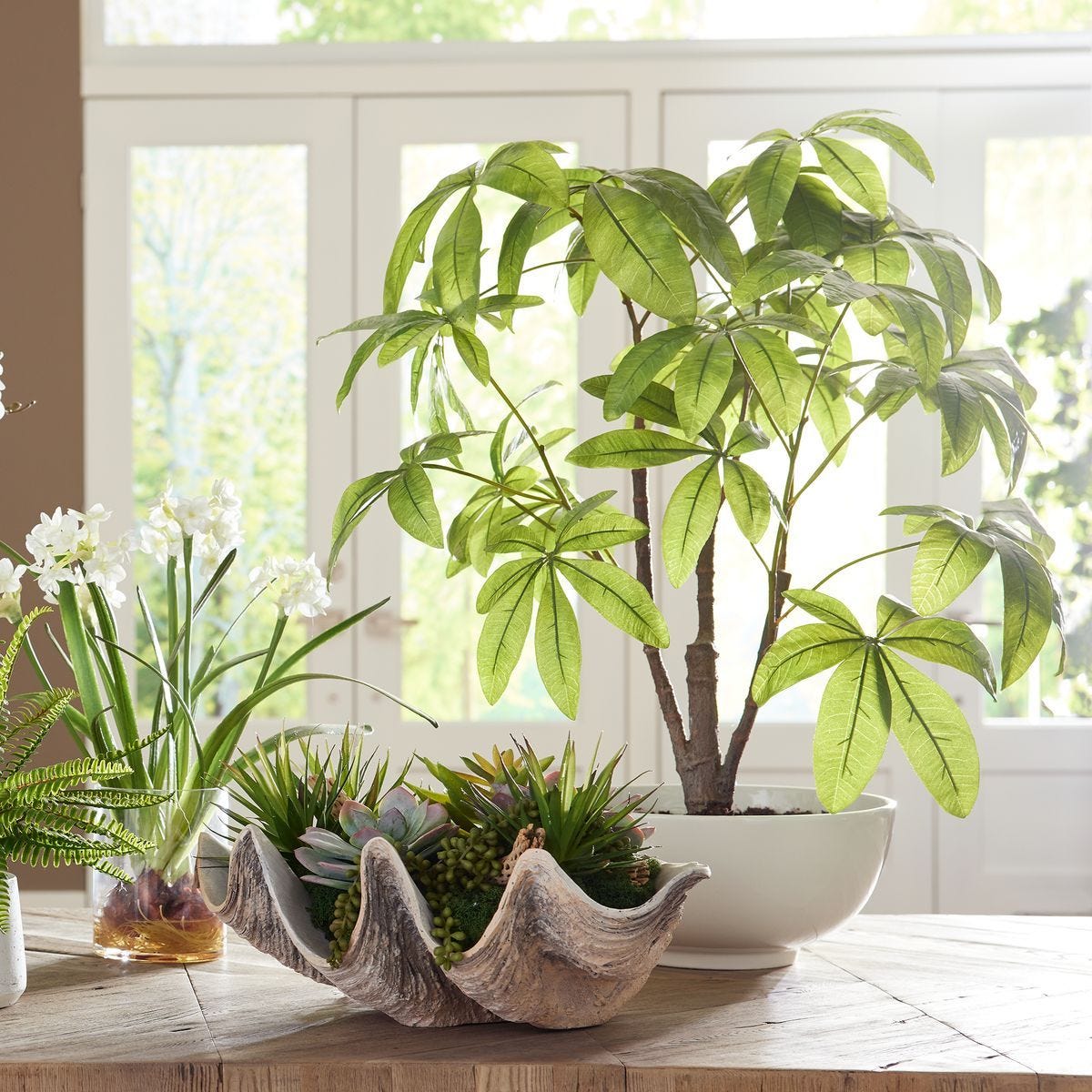 Pachira Money Tree - stylish home accessories to complete your decor | Image 1 | InSTYLE Home & Rugs