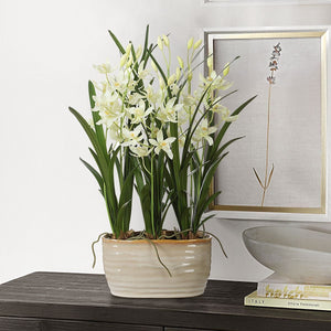 Ariana Orchid - modern accessories for a personalized living space | Image 1 | InSTYLE Home & Rugs