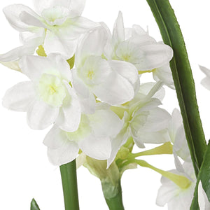Lacey Daffodil Accent - decor accents and accessories for every room | Image 3 | InSTYLE Home & Rugs