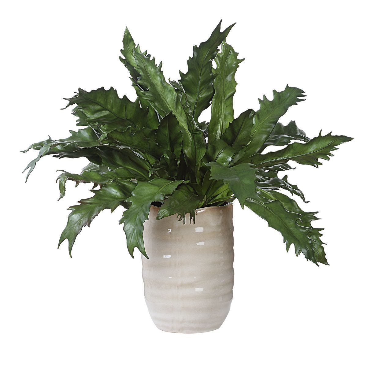 Verdure Fern - stylish home accessories to complete your decor | Image 4 | InSTYLE Home & Rugs