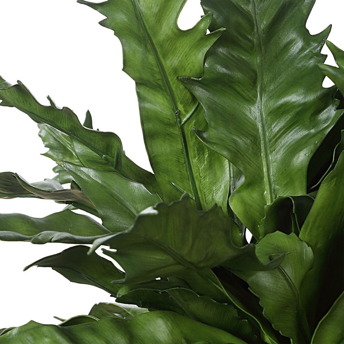 Verdure Fern - stylish home accessories to complete your decor | Image 6 | InSTYLE Home & Rugs