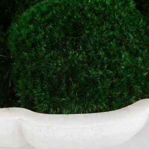 Awaken Moss Centerpiece - modern accessories for a personalized living space | Image 4 | InSTYLE Home & Rugs