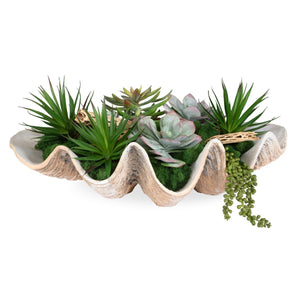 Seaside Breeze Succulents - decor accents and accessories for every room | Image 2 | InSTYLE Home & Rugs