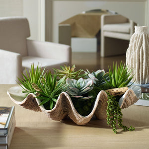 Seaside Breeze Succulents - decor accents and accessories for every room | Image 1 | InSTYLE Home & Rugs