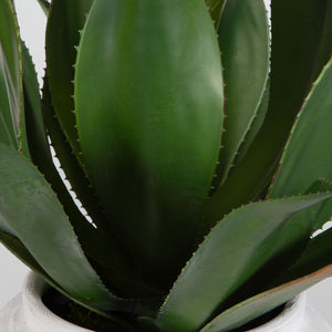 Tierra Agave Centerpiece - modern accessories for a personalized living space | Image 3 | InSTYLE Home & Rugs