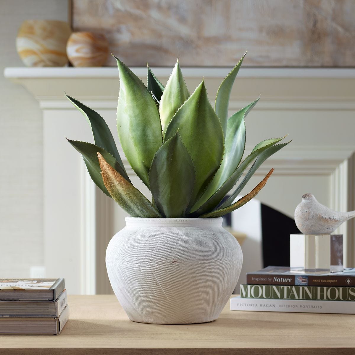 Tierra Agave Centerpiece - modern accessories for a personalized living space | Image 1 | InSTYLE Home & Rugs