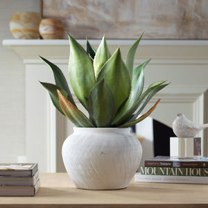 Tierra Agave Centerpiece - modern accessories for a personalized living space | Image 1 | InSTYLE Home & Rugs