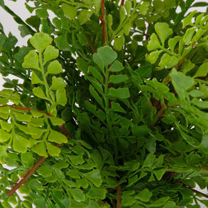 Maidenhair Fern Accent - stylish home accessories to complete your decor | Image 3 | InSTYLE Home & Rugs