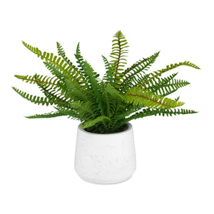 Boston Fern Accent - decor accents and accessories for every room | Image 2 | InSTYLE Home & Rugs