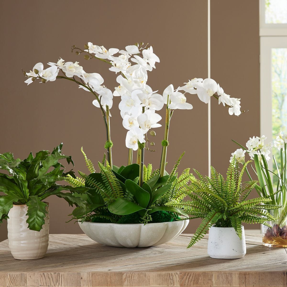 Flourish Orchid Centerpiece - decor accents and accessories for every room | Image 3 | InSTYLE Home & Rugs