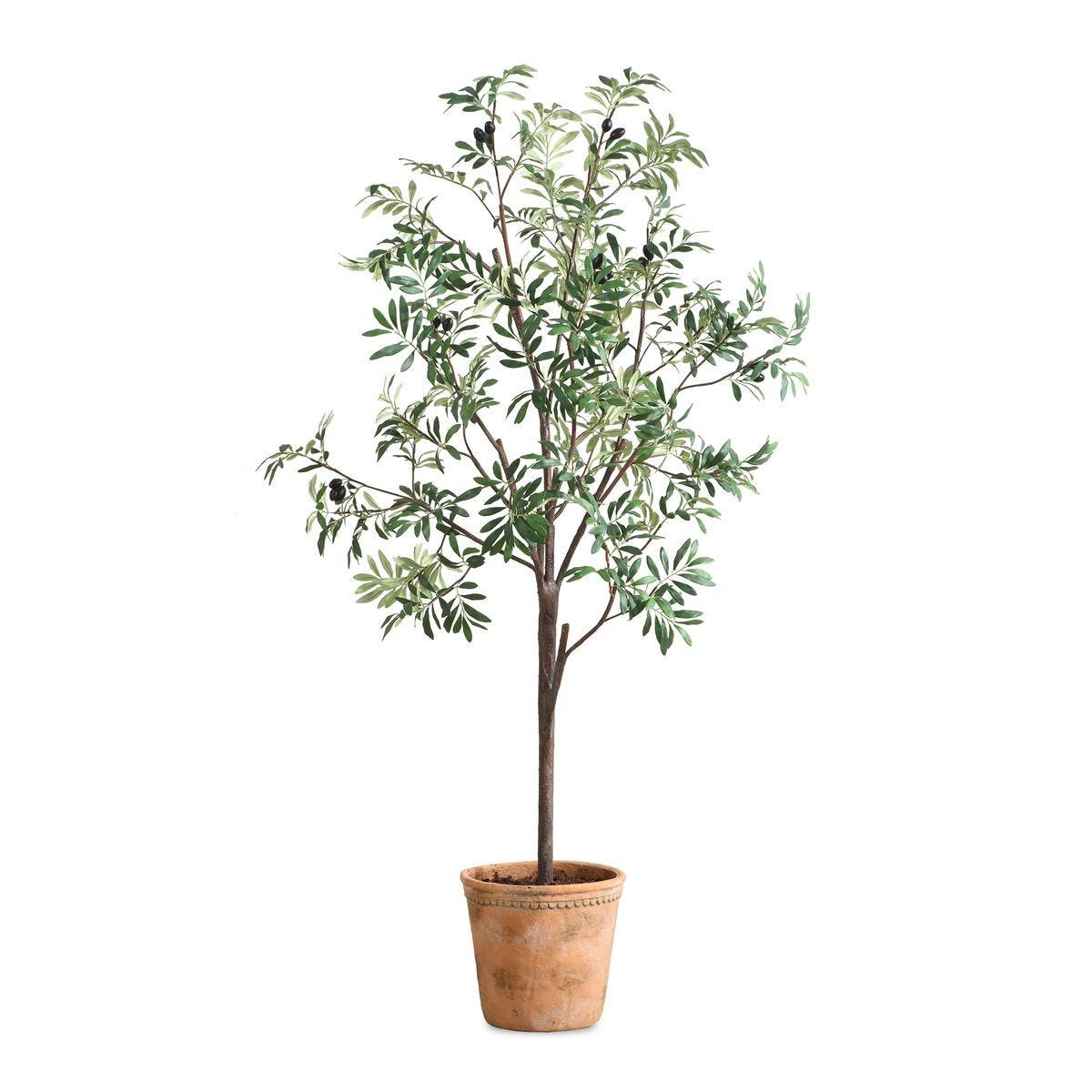 Olea Potted Olive - stylish home accessories to complete your decor | Image 2 | InSTYLE Home & Rugs