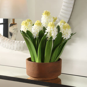 Sincerity Potted Hyacinth - stylish home accessories to complete your decor | Image 1 | InSTYLE Home & Rugs